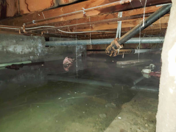 Best 24-hour water damage restoration  in Burton, SC