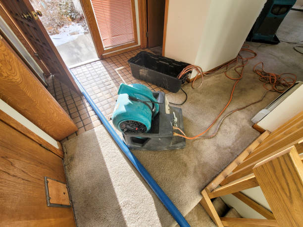 Best Water damage restoration near me  in Burton, SC