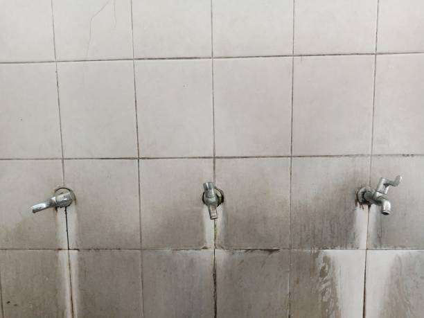 Best Carpet water damage restoration  in Burton, SC